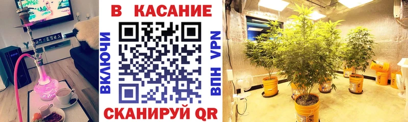 Наркота Джанкой А ПВП АМФЕТАМИН Канабис КОКАИН ГАШИШ