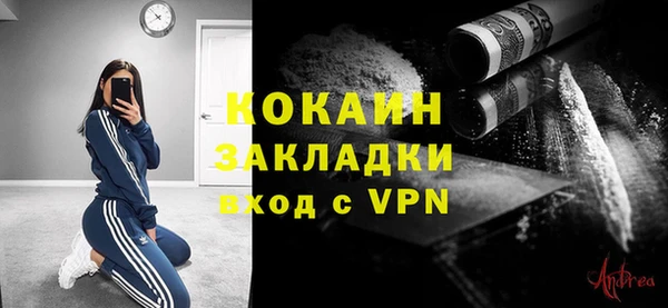 бошки Бронницы