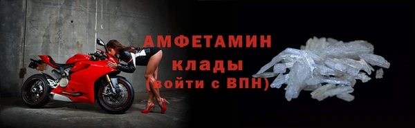 шишки Верея