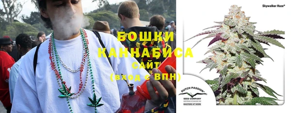бошки Бронницы